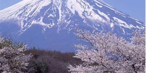 哈尔滨到日本旅游团