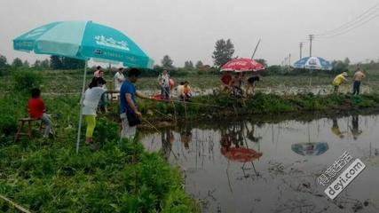 武汉钓龙虾