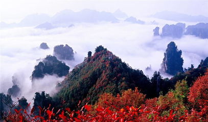 国内旅游排行