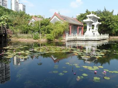 深圳福田旅游攻略