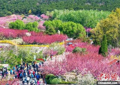 大连三日旅游必去景点