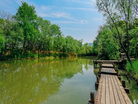 西溪湿地公园几点关门