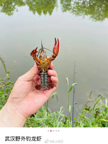 武汉钓龙虾