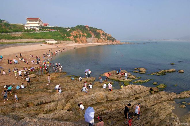 渤海湾旅游