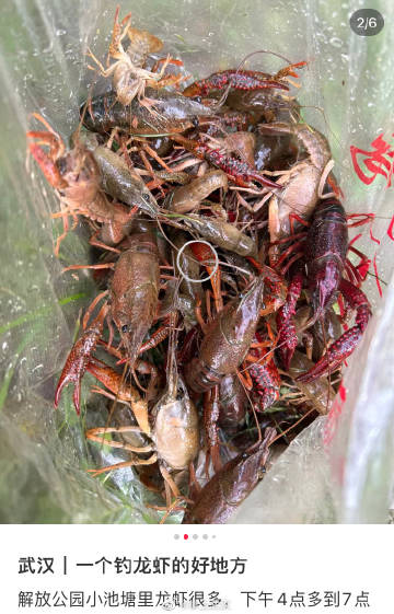 武汉钓龙虾