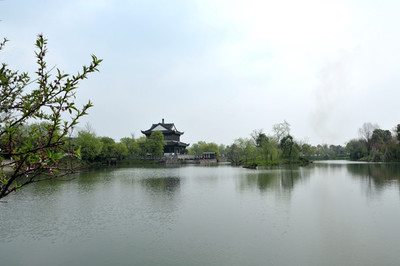 西溪湿地公园几点关门