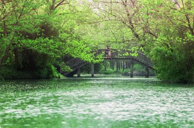 西溪湿地公园几点关门