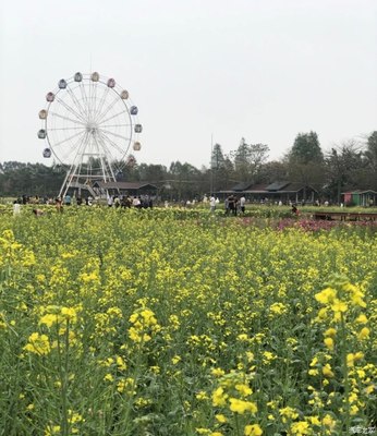梦里水乡百花园在哪里