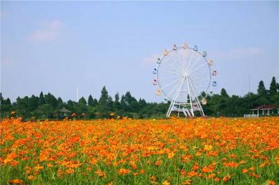 梦里水乡百花园在哪里