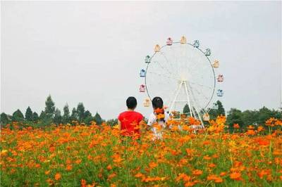 梦里水乡百花园在哪里