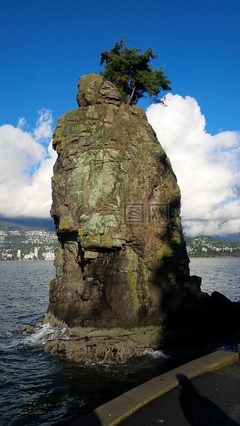 焚净山在哪里