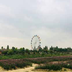 梦里水乡百花园在哪里