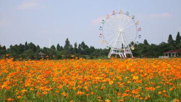 梦里水乡百花园在哪里