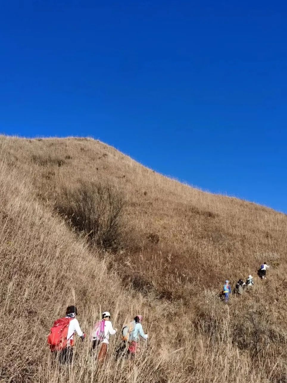 长沙爬山