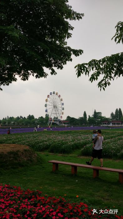 梦里水乡百花园在哪里