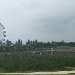 梦里水乡百花园在哪里