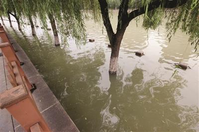 明天南京有雨吗
