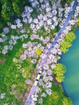 池州杏花村文化旅游区