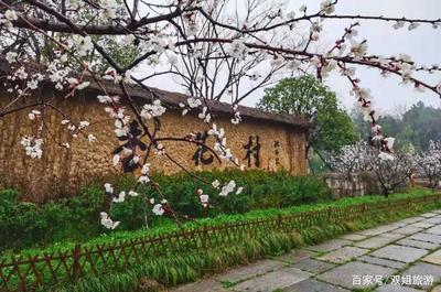 池州杏花村文化旅游区