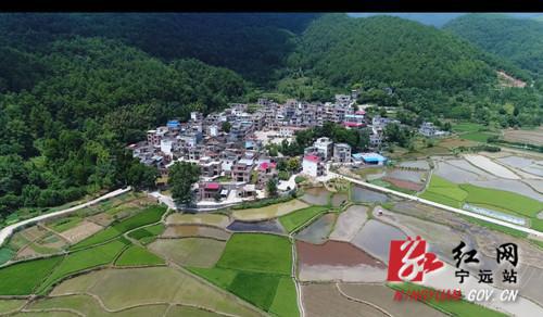 新塘旅游景点