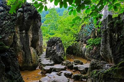 安顺周边旅游景点大全