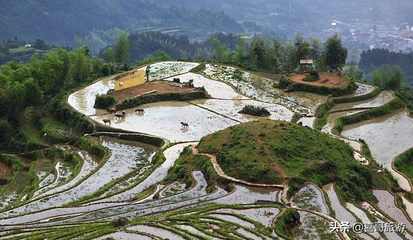 丽水旅游景点哪里好玩