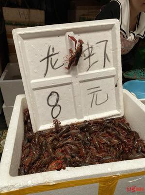 海鲜批发哪里便宜