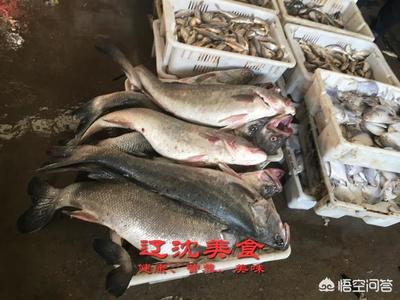 海鲜批发哪里便宜