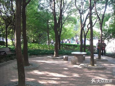 上海遛狗公园
