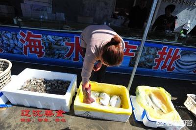 海鲜批发哪里便宜