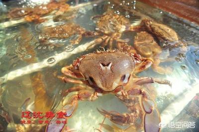 海鲜批发哪里便宜