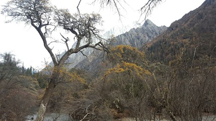 长坪沟旅游攻略