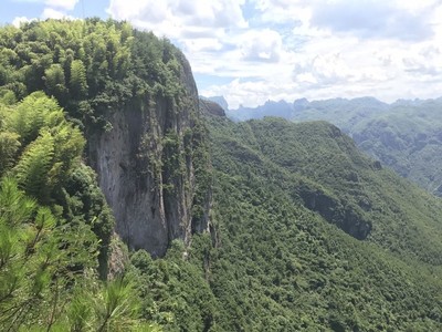 仙居哪里好玩的景点推荐