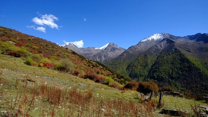 长坪沟旅游攻略