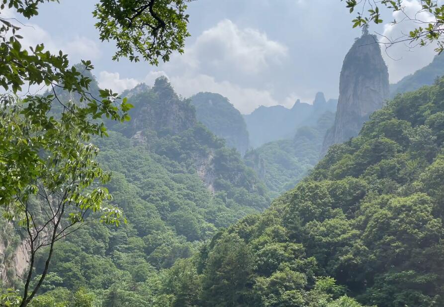 仙居哪里好玩的景点推荐