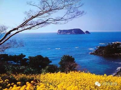 沈阳到济州岛