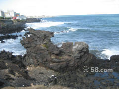 沈阳到济州岛