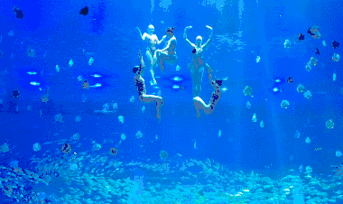 汉海海洋公园在哪里