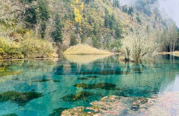 成都适合旅游的季节