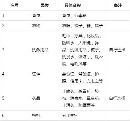 外出旅游必备用品清单