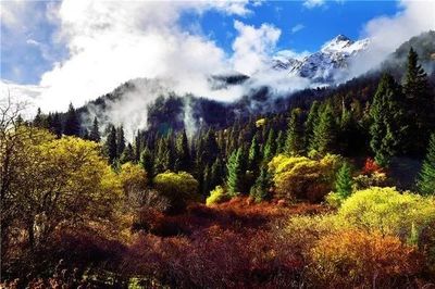 成都适合旅游的季节