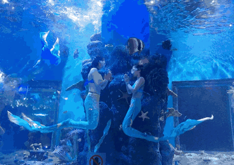 花都海洋世界在哪里