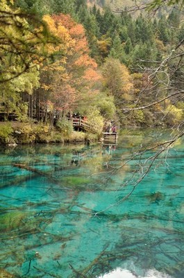 成都适合旅游的季节