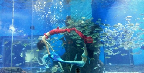 花都海洋世界在哪里