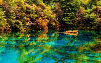 成都适合旅游的季节