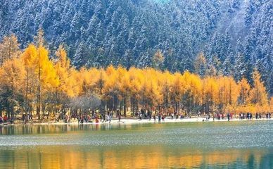 成都适合旅游的季节
