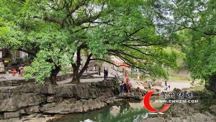 广西省内游旅游景点大全