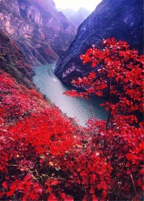 成都适合旅游的季节