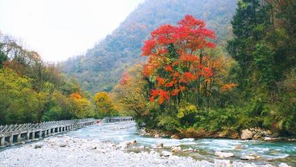 成都适合旅游的季节