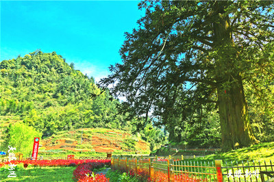 泸州市附近的旅游景点